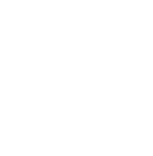 NORTH IDAHO NOW LOGO